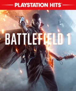 Battlefield™️ 1