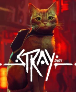 Stray